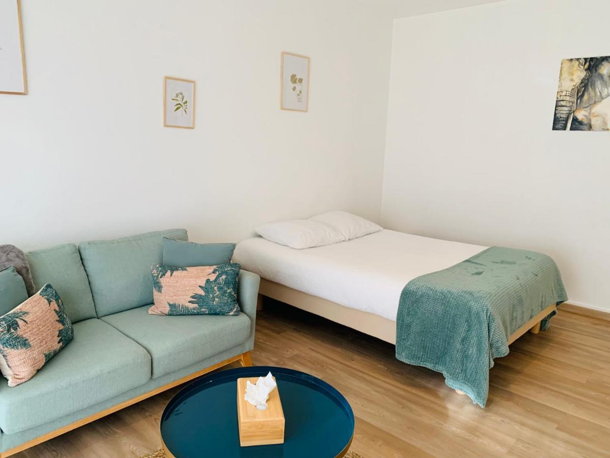 Appartement Studio Confort 35m2 Renove, Equipe Et Climatise, Tout Se Fait A Pied! *